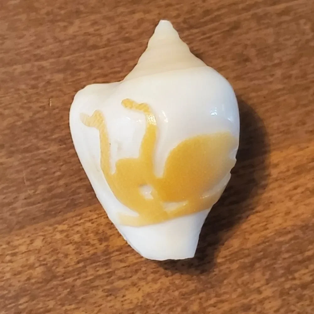 Set of 3 Vtg Hand Carved Tiger Cowrie Shells Souvenir Beach Fish, Deer & Swans